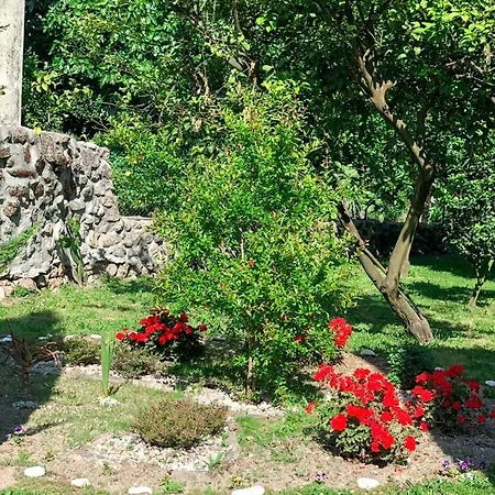 Quinta Do Cipreste De Valpedre *